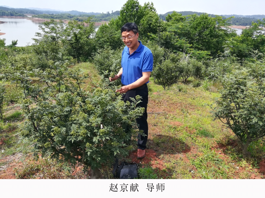 2赵京献-果树学副本